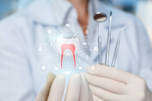 Best Root Canal Treatment  in Interlachen, FL